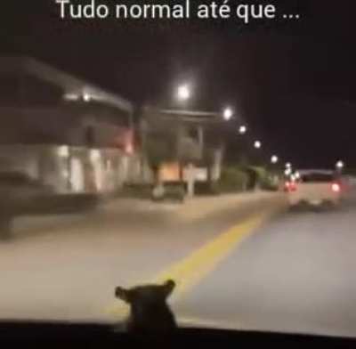 NAAAAAAO