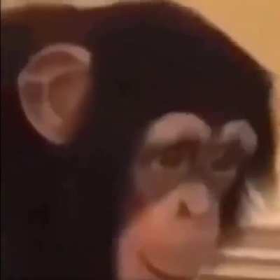 Monke
