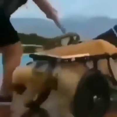 Espero que est&eacute; bien