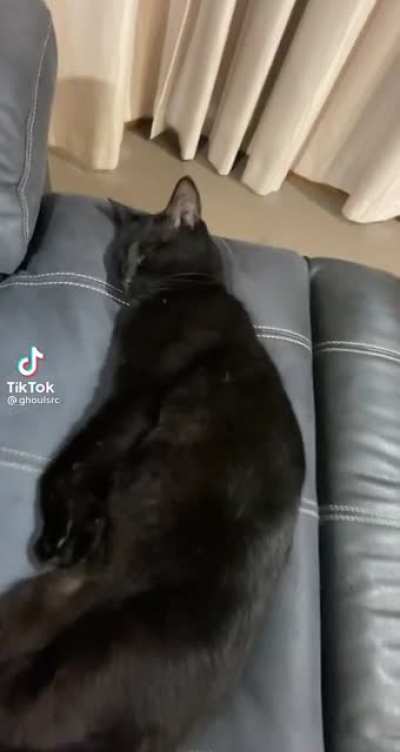 Котюк