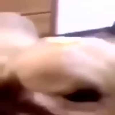 E o chorro de cyberpunk (se voc&ecirc; n&atilde;o entedeu &eacute; porque vc nunca ouvio falar de cyberbug 2077)