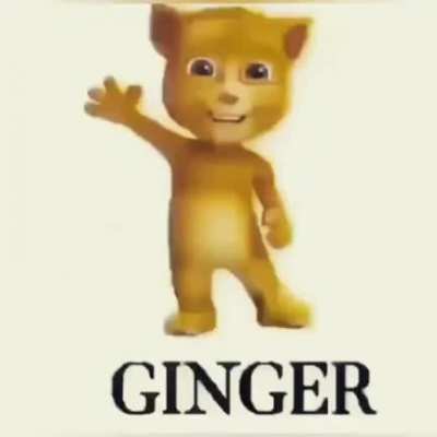 🗿