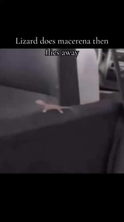 Maybe maybe maybe