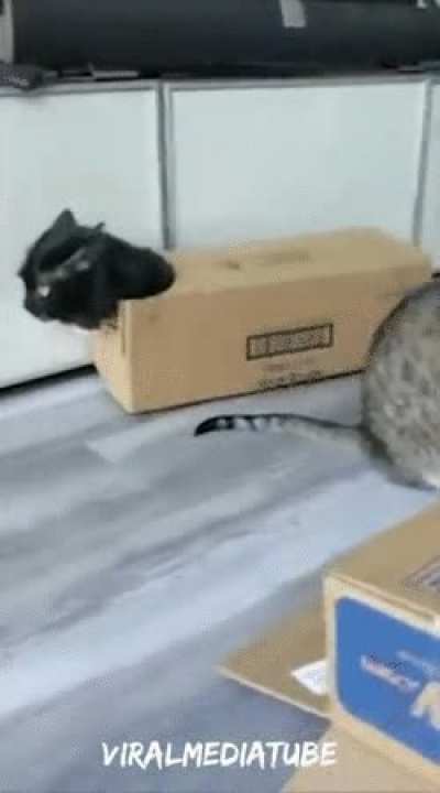Stealth is my middle name