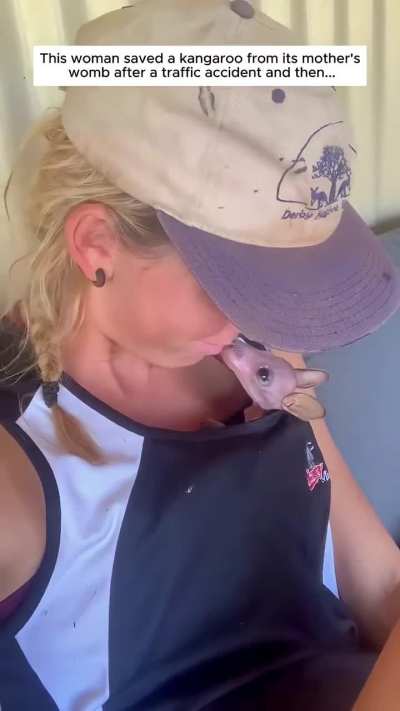 This woman saved a baby kangaroo from its mother&rsquo;s womb after a traffic accident, and then...