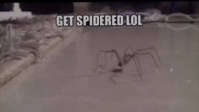 not a rickrol I swer guys!!! 😳😳😳