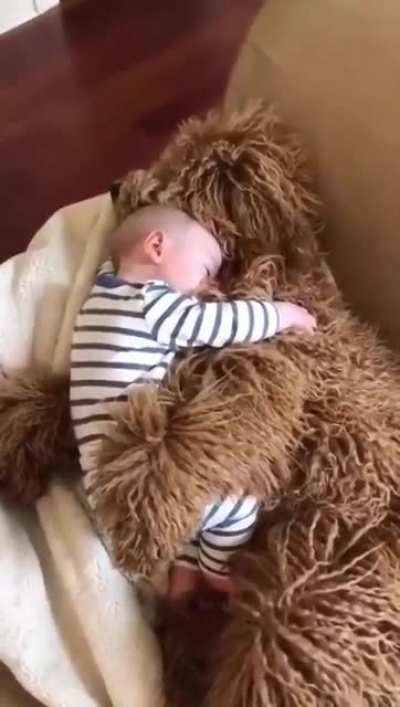 Too much tenderness