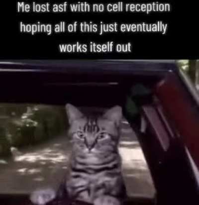it'll be fine