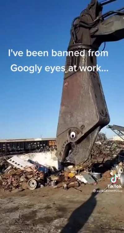 Possibly the largest googly eyes