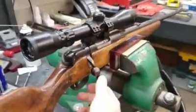 Gun.