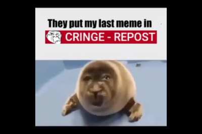 😭😭😭😭😭