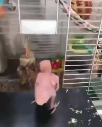 Footage of Zach going home after work