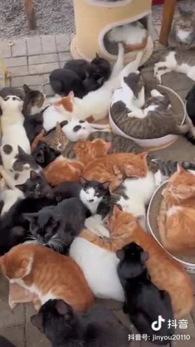Отель &laquo;Котэ&raquo;