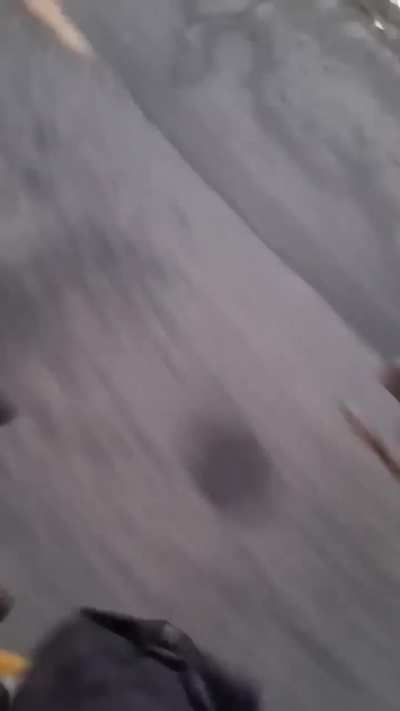 Being chased by princess &amp;amp; cupcake 