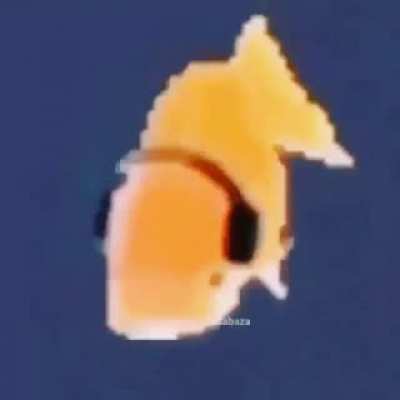 No c
