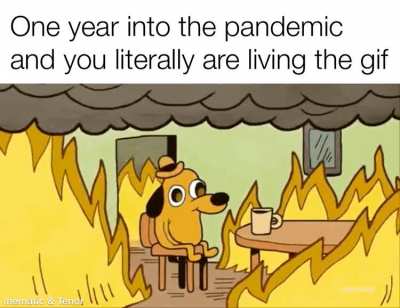 It&rsquo;s been a bumpy ride