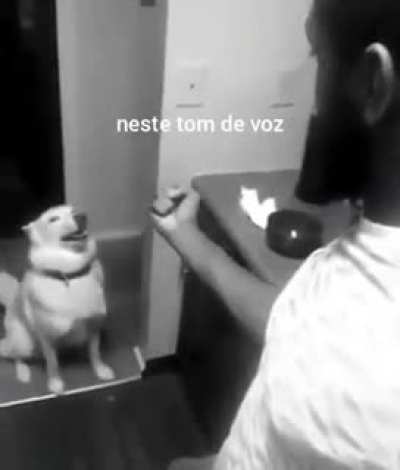 bom dia