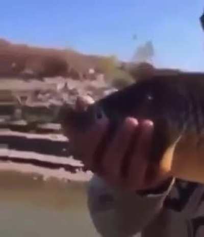 Guy catches a fish