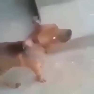 ISVEKSNEIDBEKDNDDH