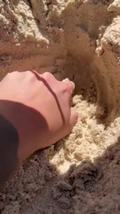 Digging in the sand