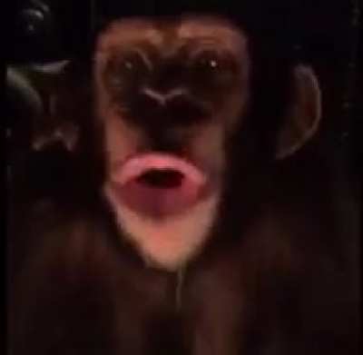 ã