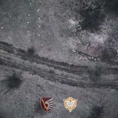 Destruction of the Russian assault group. Minus Tank and MT-LB. The work of operators from 79th Air Assault Brigade. Perum Group.