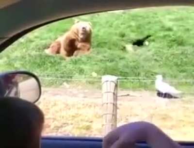 Maybe maybe maybe