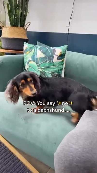 No