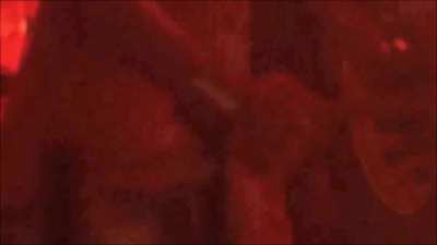 Twin Peaks: Fire Walk with Me (1992), R-Rated, Anne Gaybis (boobs, ass, shaved pussy)