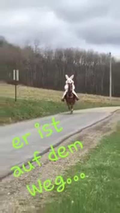 Oh nein rennt schnell weg 😱😰