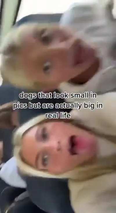does anyone knows their username?