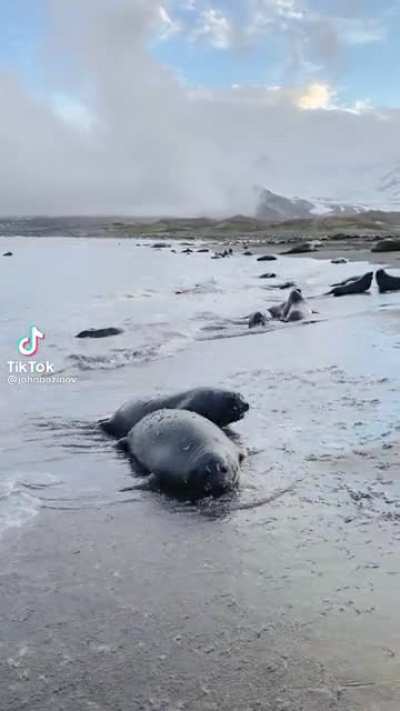 Cold feet