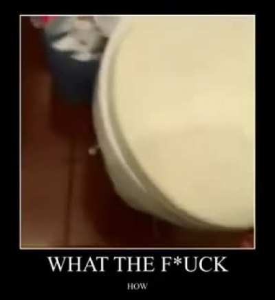 Wtf Ratatouille