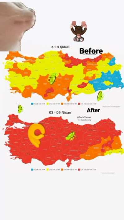 T&uuml;rkiye kızartması tarifi