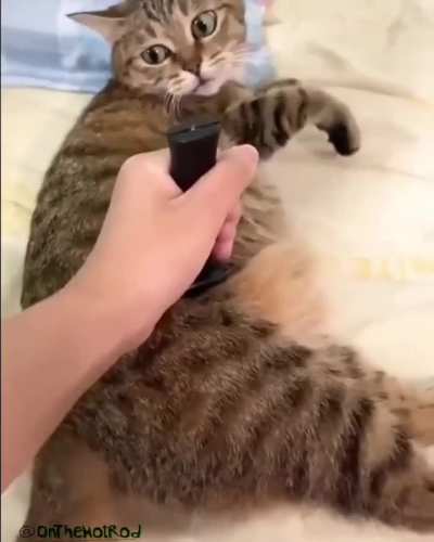 Fake Knife Attack