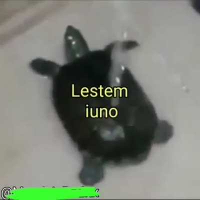 Admito que viciei nesse vídeo