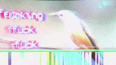 Fuck