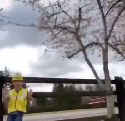 *BONK*