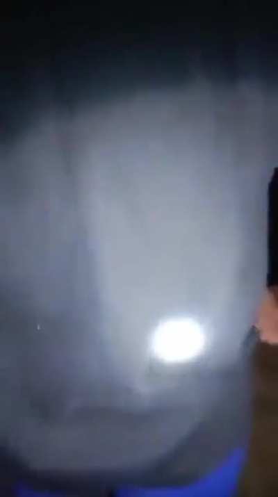 Monstruo de Sillent Hill *la neta lo robe de twitter