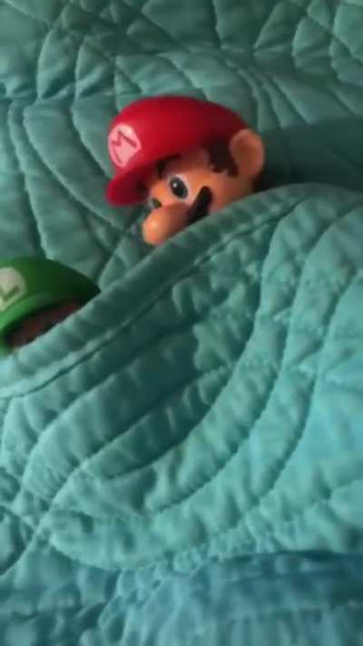 "That was a good day luigi" "uhh mario?"