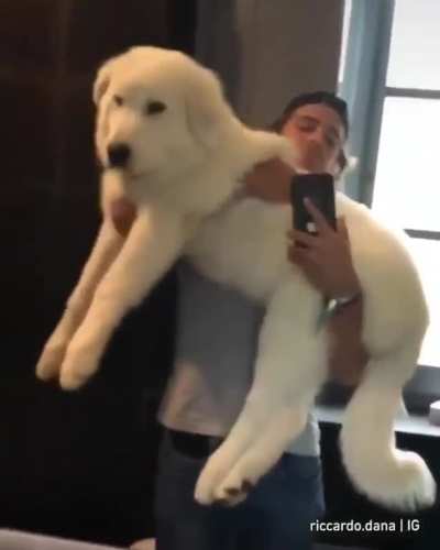 Aww