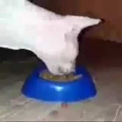 Rule