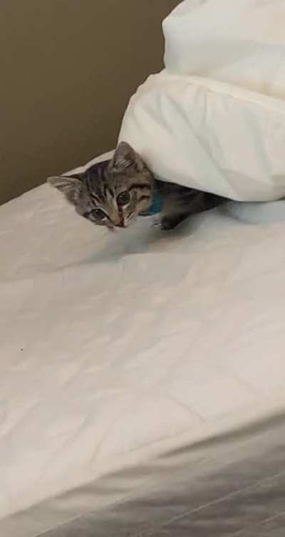 Couldn't find her for a while and then