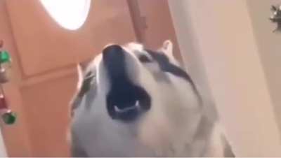 I sing!
