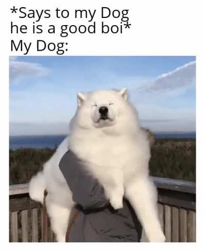 thanks hooman