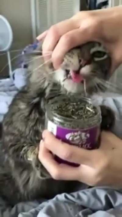 Вкусняшка