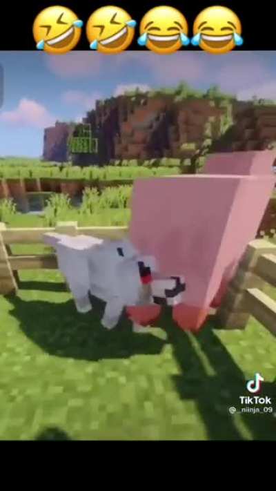 Halal