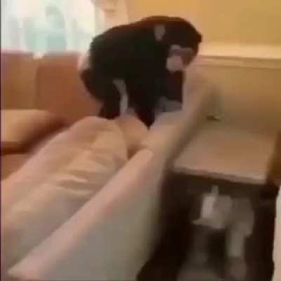 E &eacute; isso