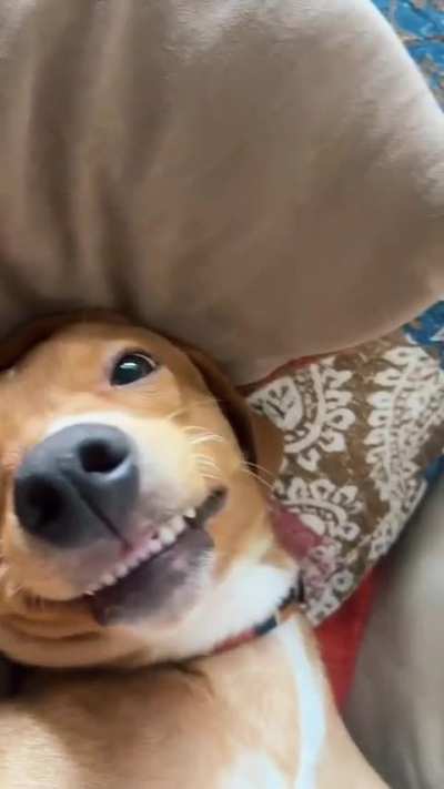 Fofo