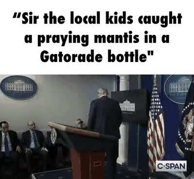 SHIT SHIT GOTTA SEE